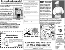 newletter example 3